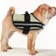 swisspet Geschirr Arrow, Gr. S,  beige