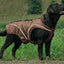 swisspet climaro Winterjacke 25cm, braun