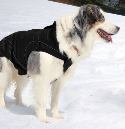 swisspet climaro Softshelljacke 25cm, sw