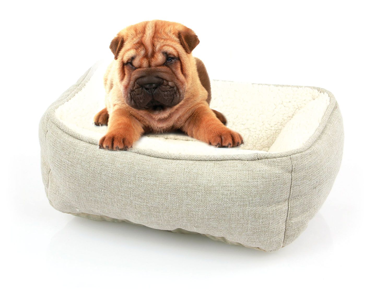 Hunde- und Katzenbett Romeo S, beige