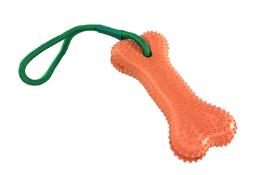 swisspet Hundesp. Training-Bone orange