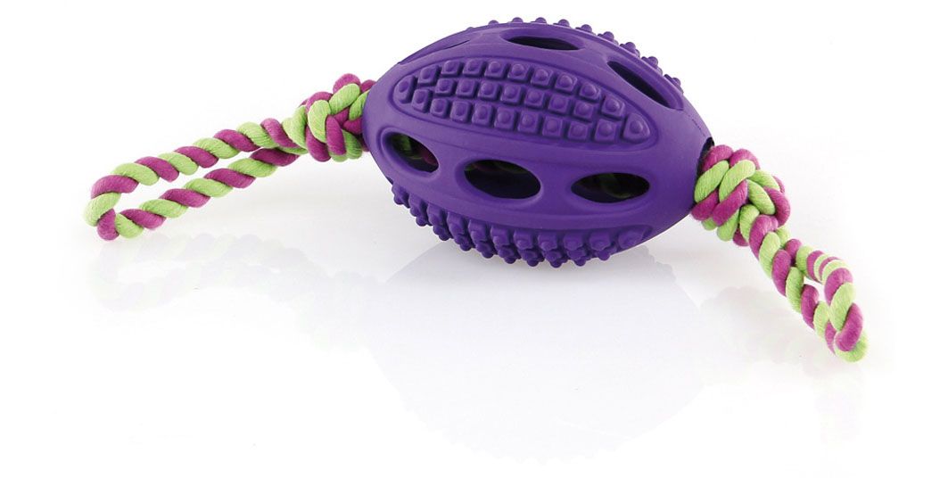Go Dog Football mit Seil S,L=32cm violet