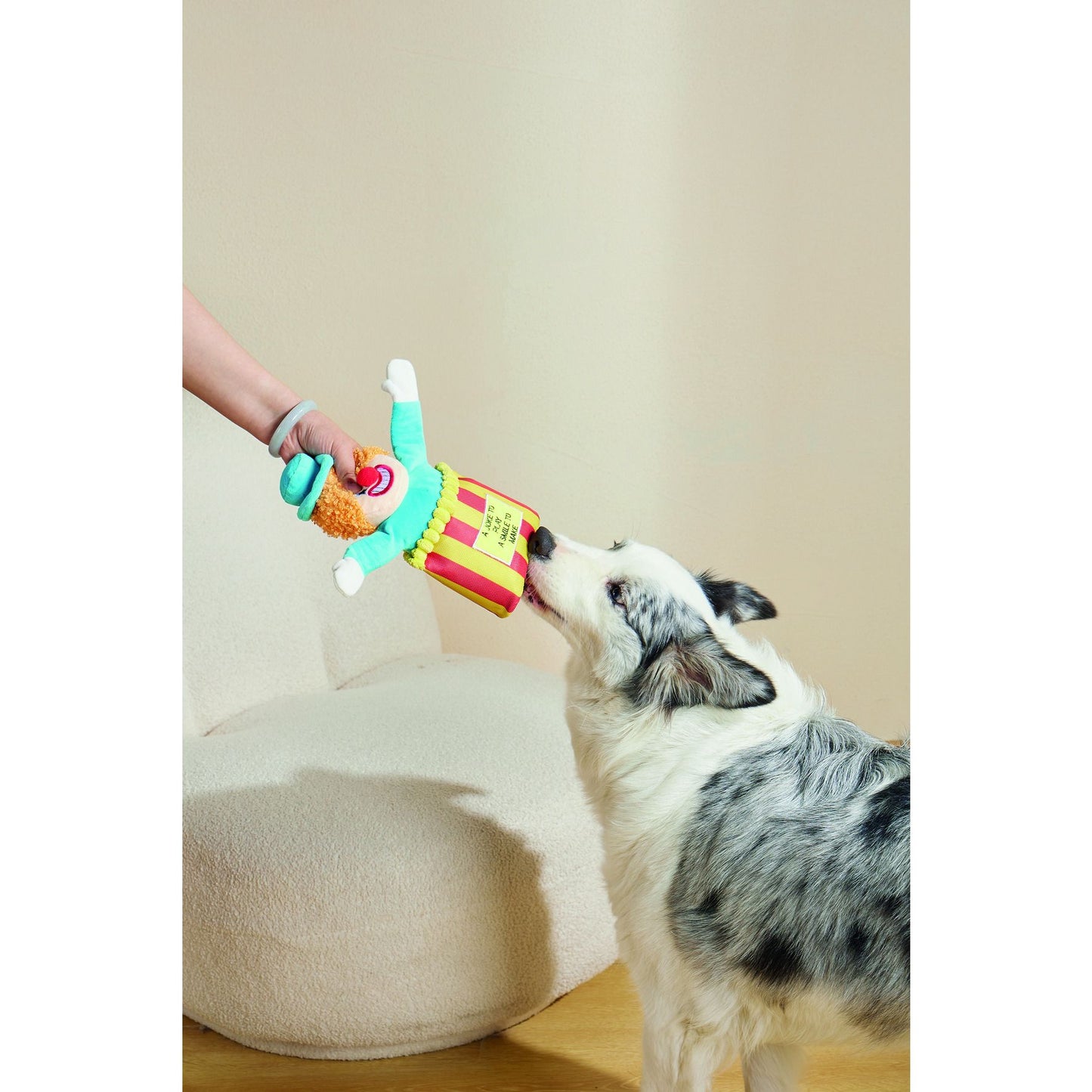 M-Pets  Hundespielzeug Circus,