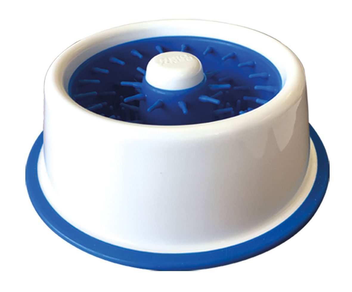 swisspet Dental-Napf D=21/H=7cm ws/blau