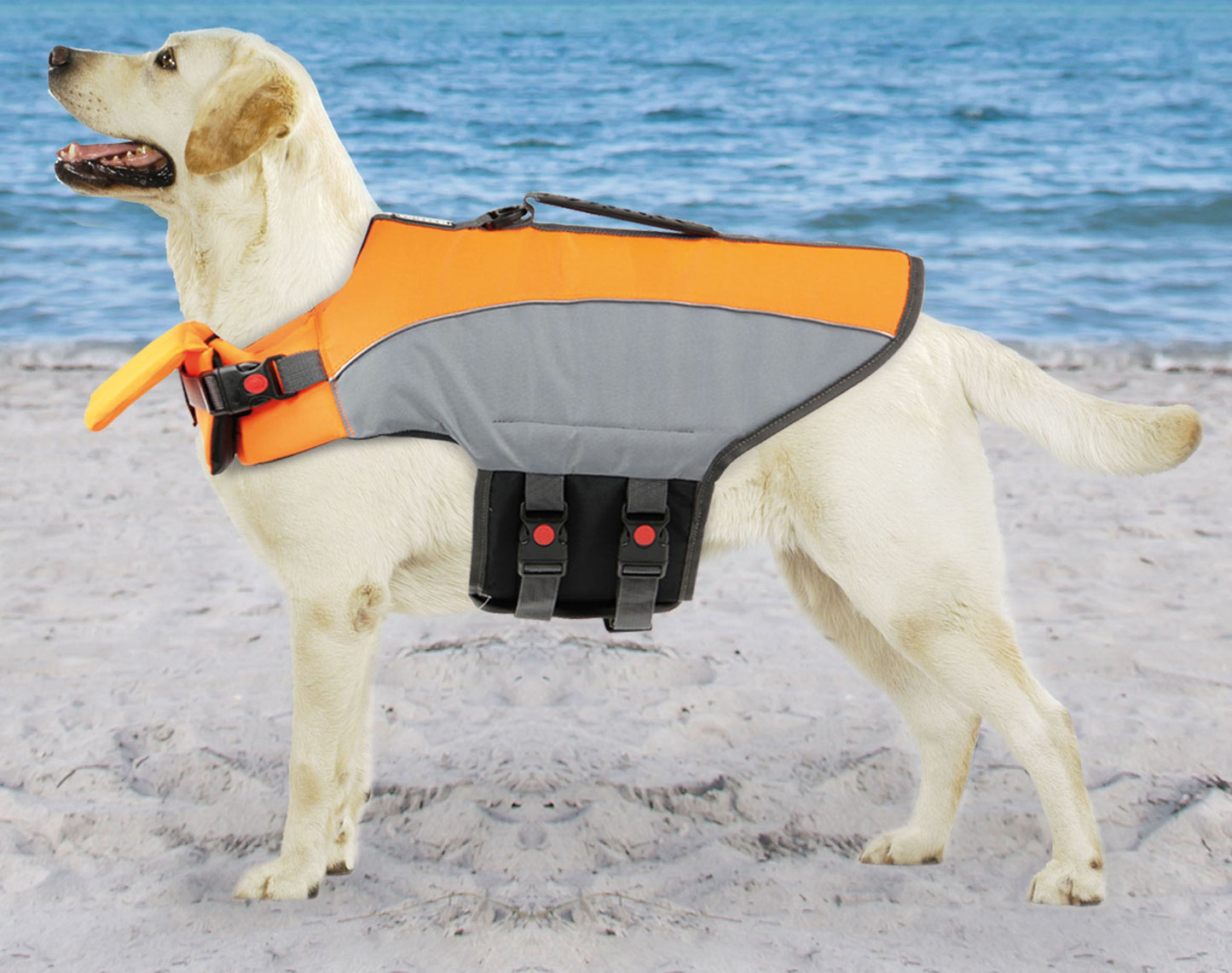 Sicherheits Schwimmweste Ocean XS orange