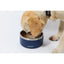 M-Pets doppelwandiger Napf 1,25L,