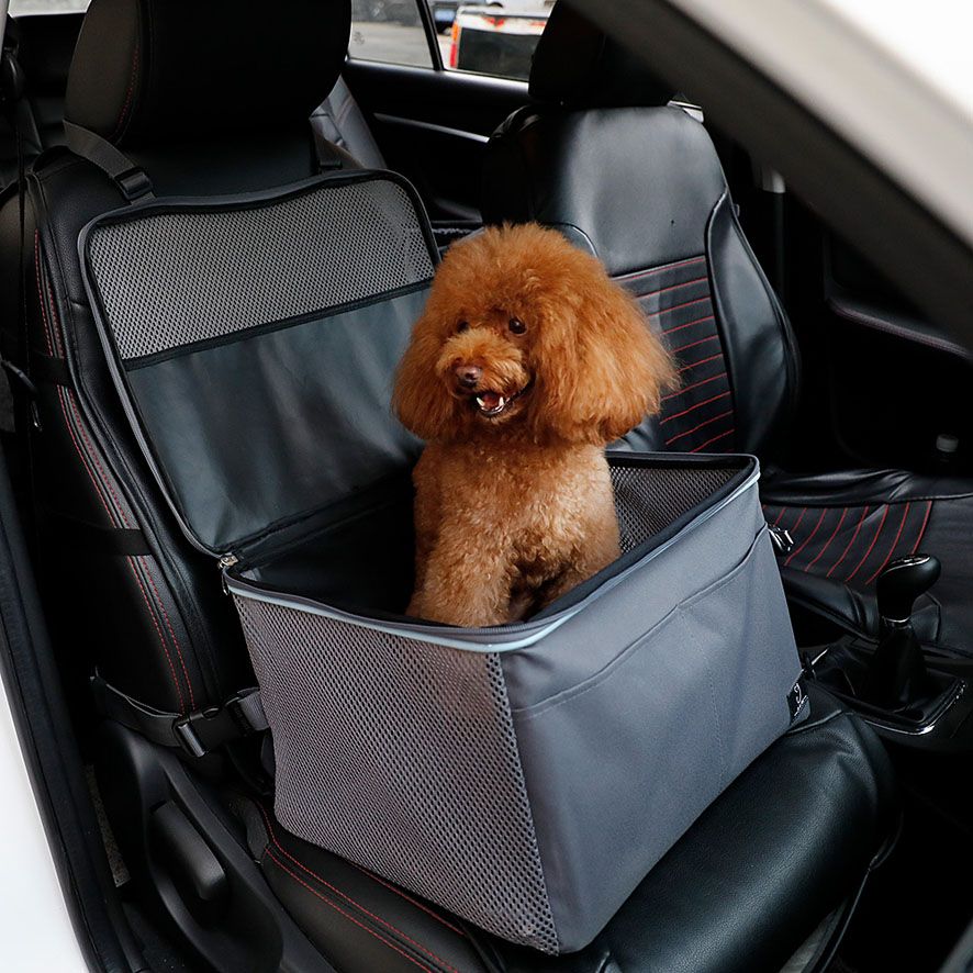 Petsfit K. & Hundetransporttasche Oxford