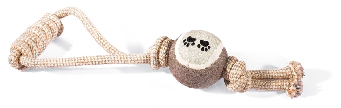 Natur Hundespiel. Tennisball an Hand-