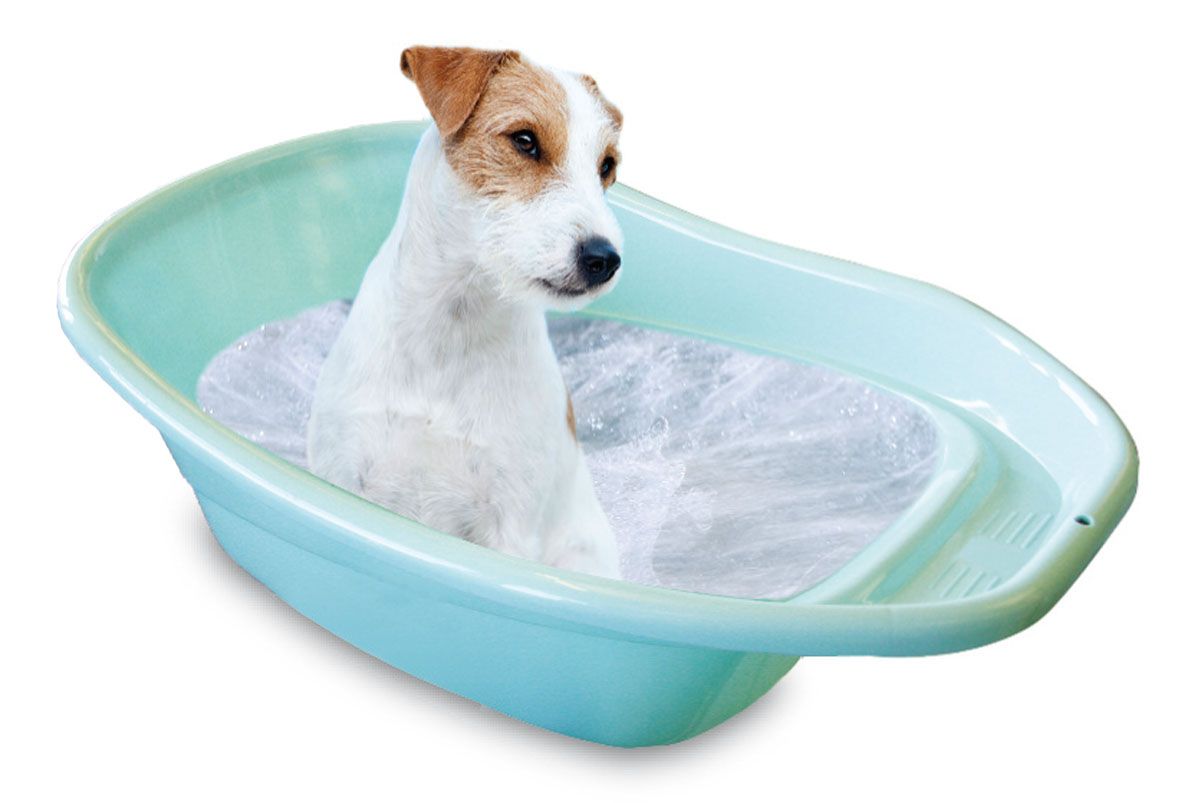 swisspet Badewanne für kleine Hunde