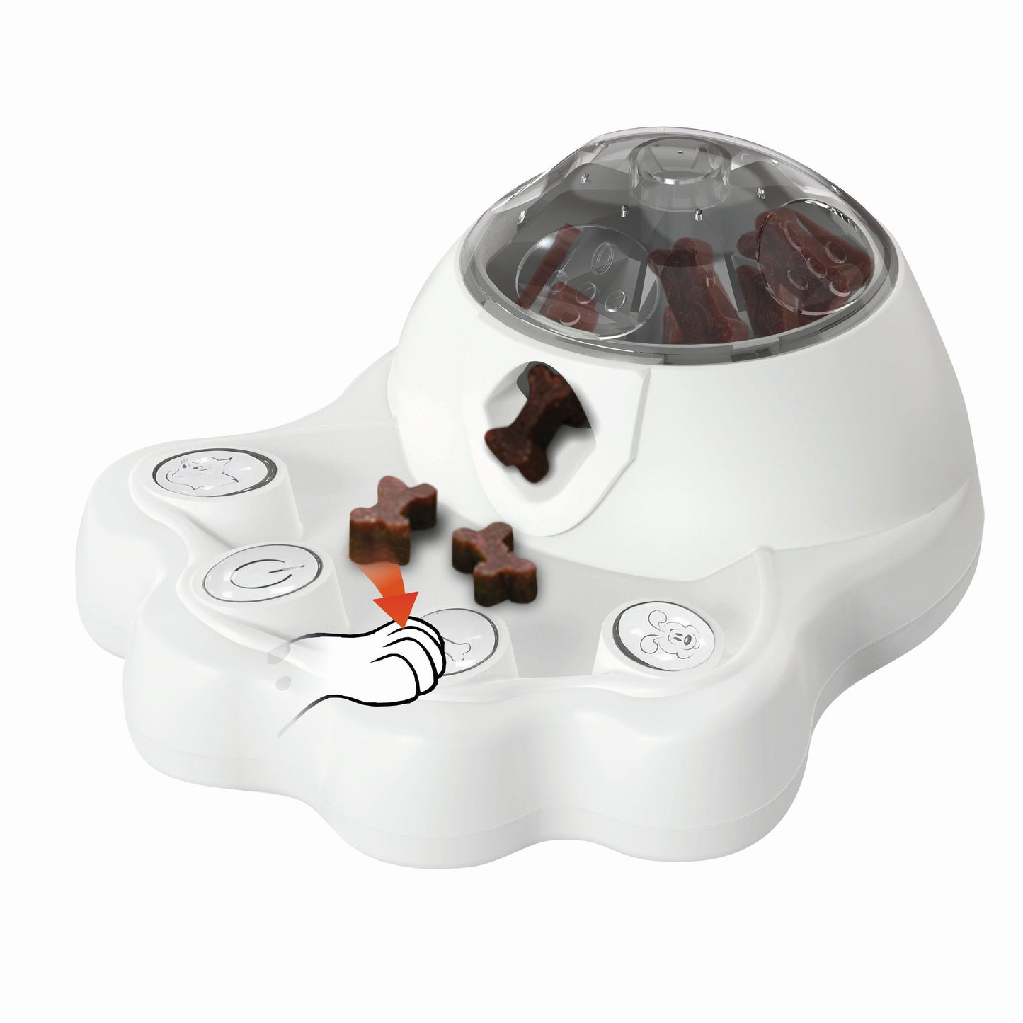 Hundespielzeug Cleverplay Step & Snack