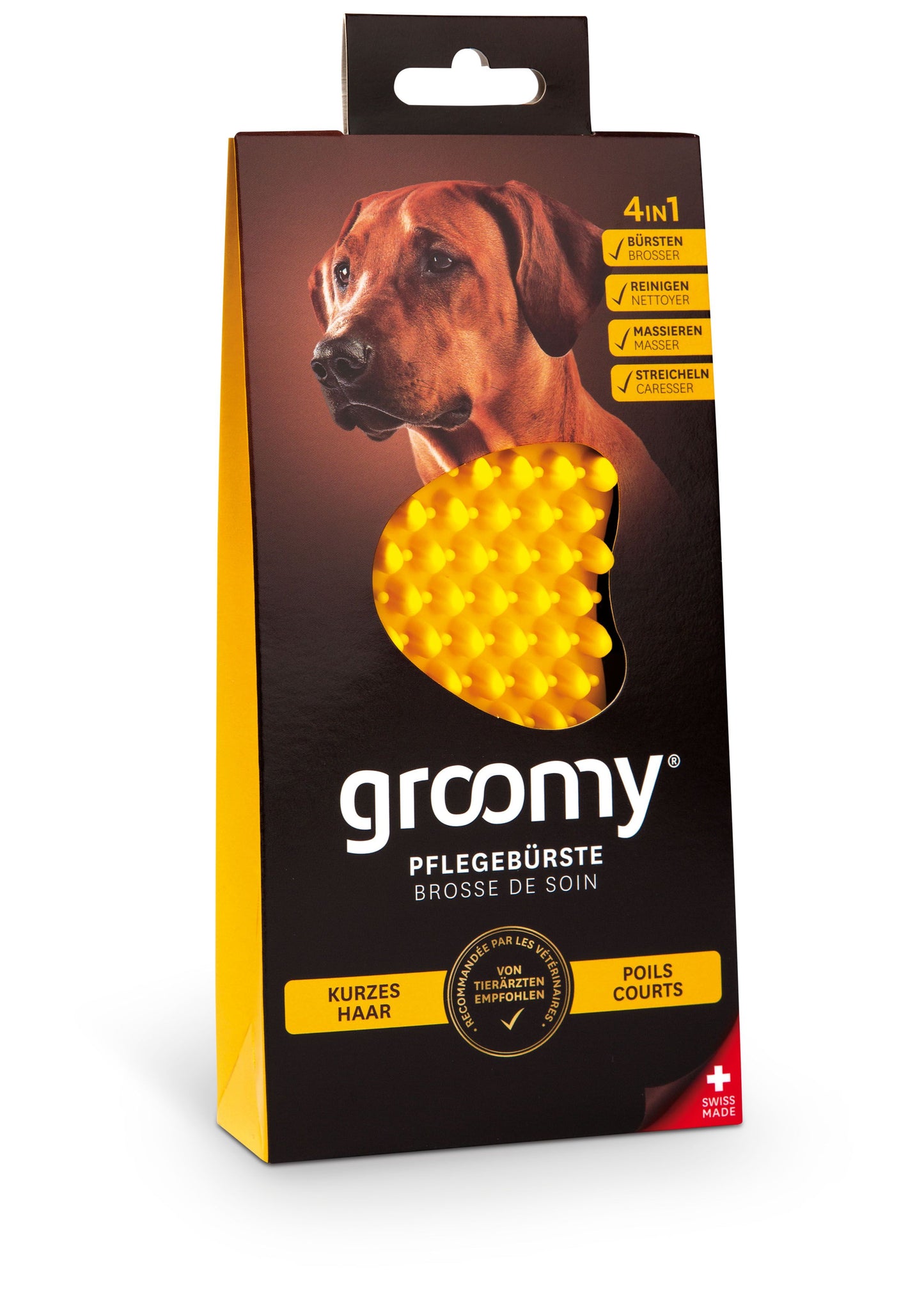 groomy dog - Kurzhaar