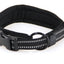 swisspet Halsband Varberg S, schwarz