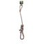 M-Pets Hundeleine & Halsband 2in1 S,