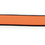 TrendLine Neon Halsband 15mm orange