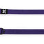 TrendLine ONE Führleine 10mm violett