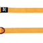 TrendLine ONE Führleine10mm/180cm orange
