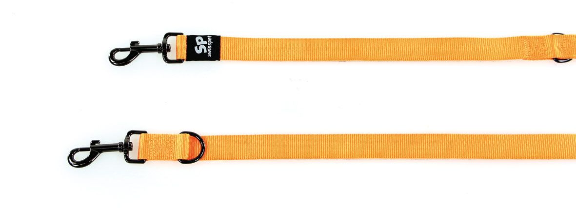 TrendLine ONE Führleine10mm/180cm orange