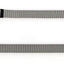 TrendLine ONE Führleine 10mm/180cm grau