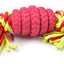 Hundesp. Mighty Champer Prime S rot