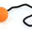 swisspet Spielball Lungo am Seil