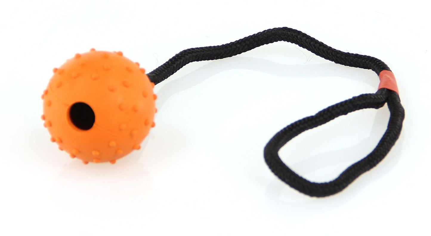 swisspet Spielball Lungo am Seil