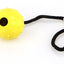swisspet Spielball Lungo am Seil