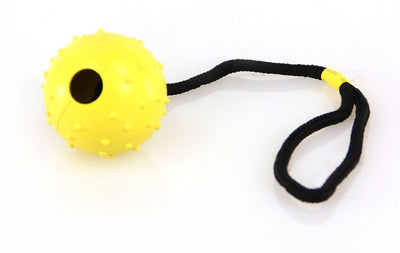 swisspet Spielball Lungo am Seil