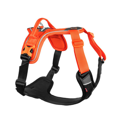 Non-stop Ramble Harness Orange/ Black