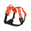 Non-stop Ramble Harness Orange/ Black