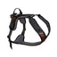 Non-stop Rock Harness black