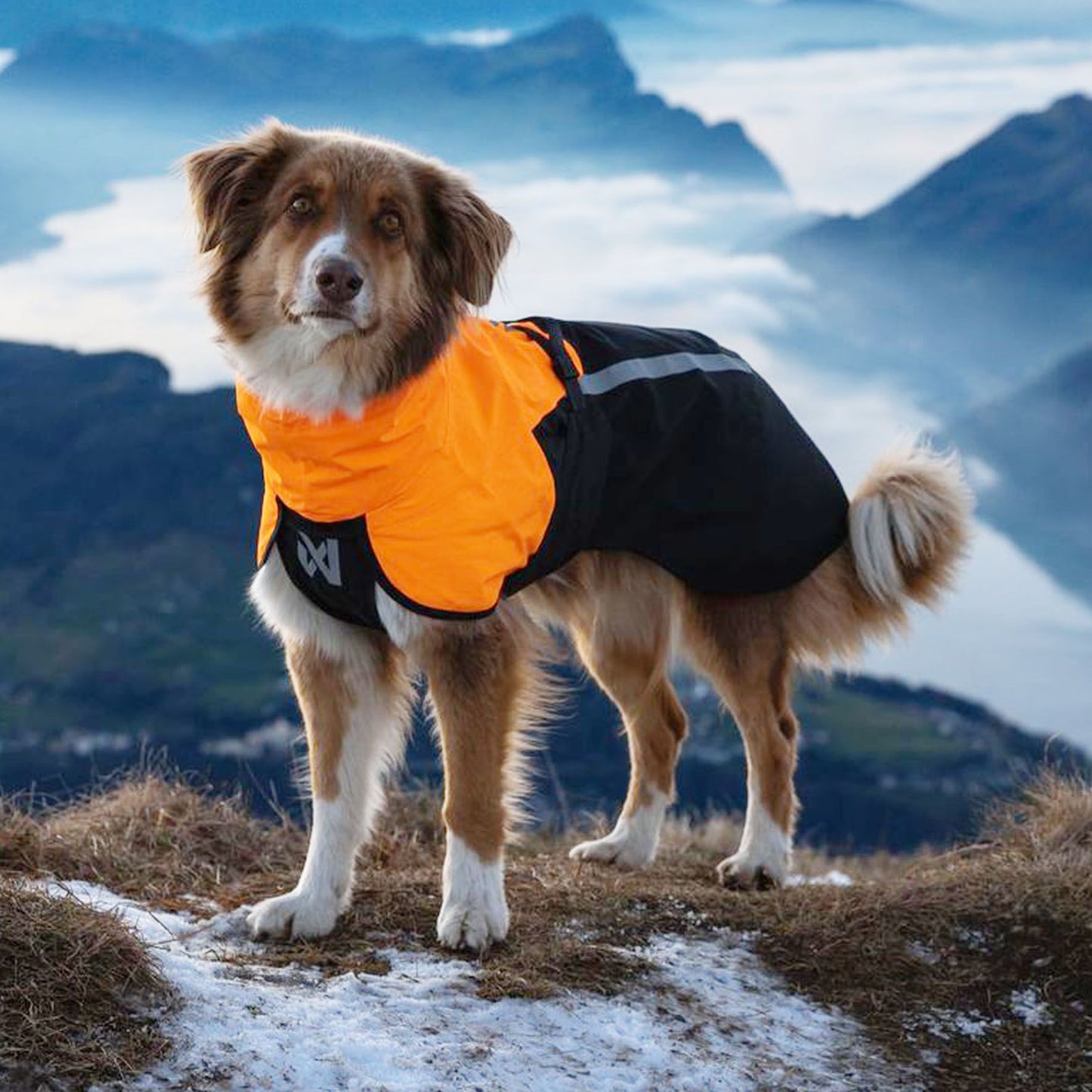 Fjord raincoat 2.0, black/orange, Gr.40
