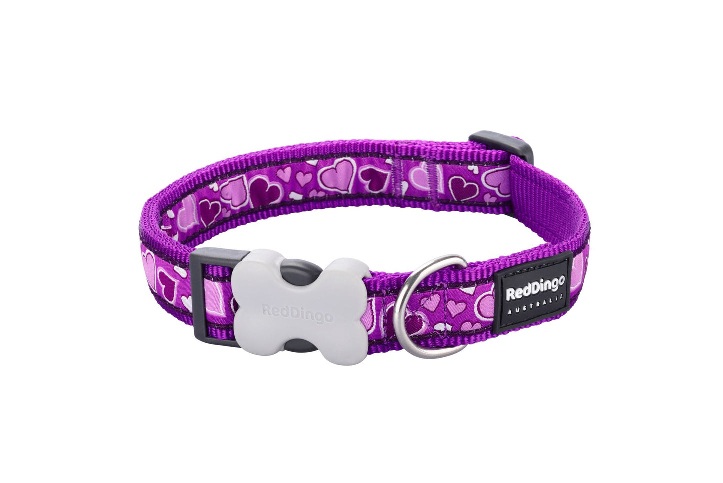 RedDingo Dog Collar Design Purple