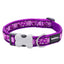 RedDingo Dog Collar Design Purple