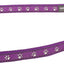 RedDingo Multipurpose Lead Design