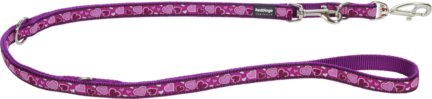 RedDingo Multipurpose Lead Design