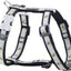 RedDingo Harness Bumble Bee Black