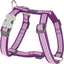 RedDingo Harness Fang it Purple
