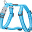 RedDingo Harness Flying Bones Turquois