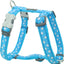 RedDingo Harness Stars white Turquoise