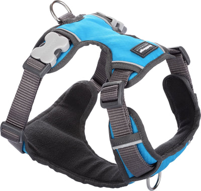 RedDingo Padded Harness Turquoise