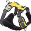 RedDingo Padded Harness Yellow