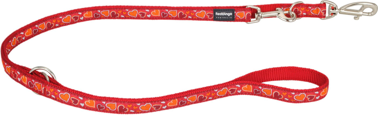 RedDingo Multipurpose Lead Design