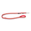 RedDingo Dog Lead red