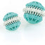 swisspet Dental Ball Mint S D=60mm