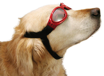 Cabrio Brille, Schneebrille, getönt, rot