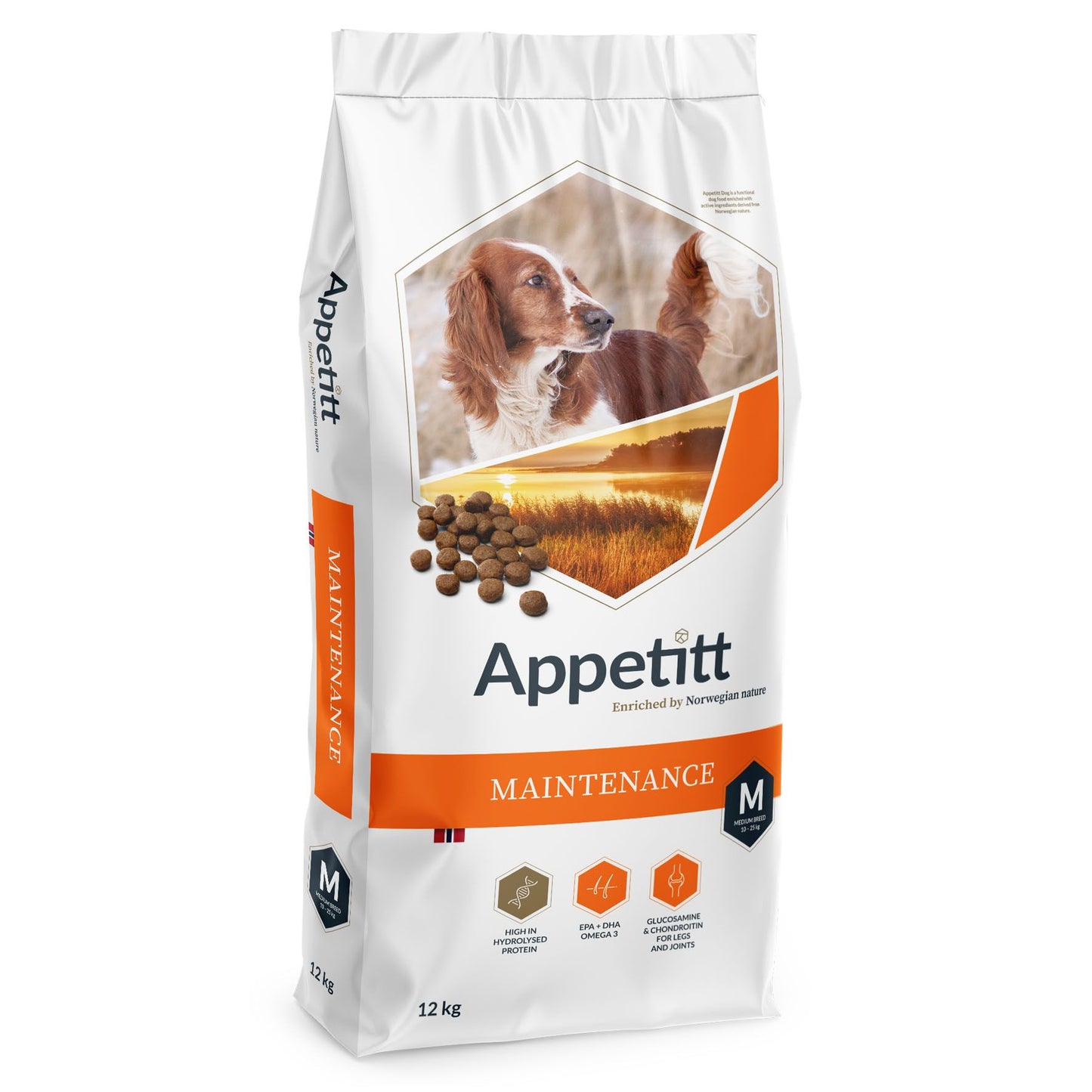 Appetitt Dog Maintenanc Medium