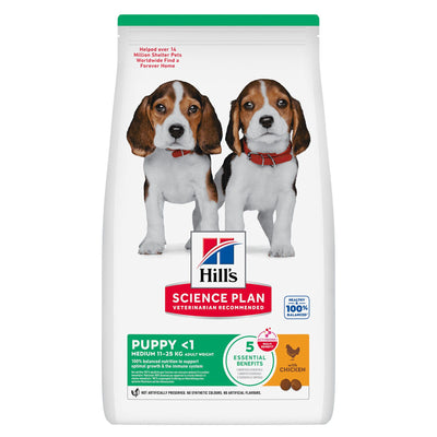 Hill's Hund Puppy Huhn