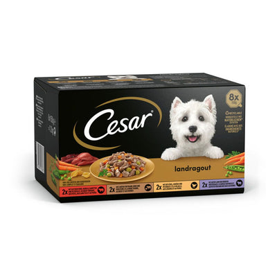 Cesar Landragout in Sauce
