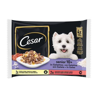 Cesar Pouch Senior 10 +