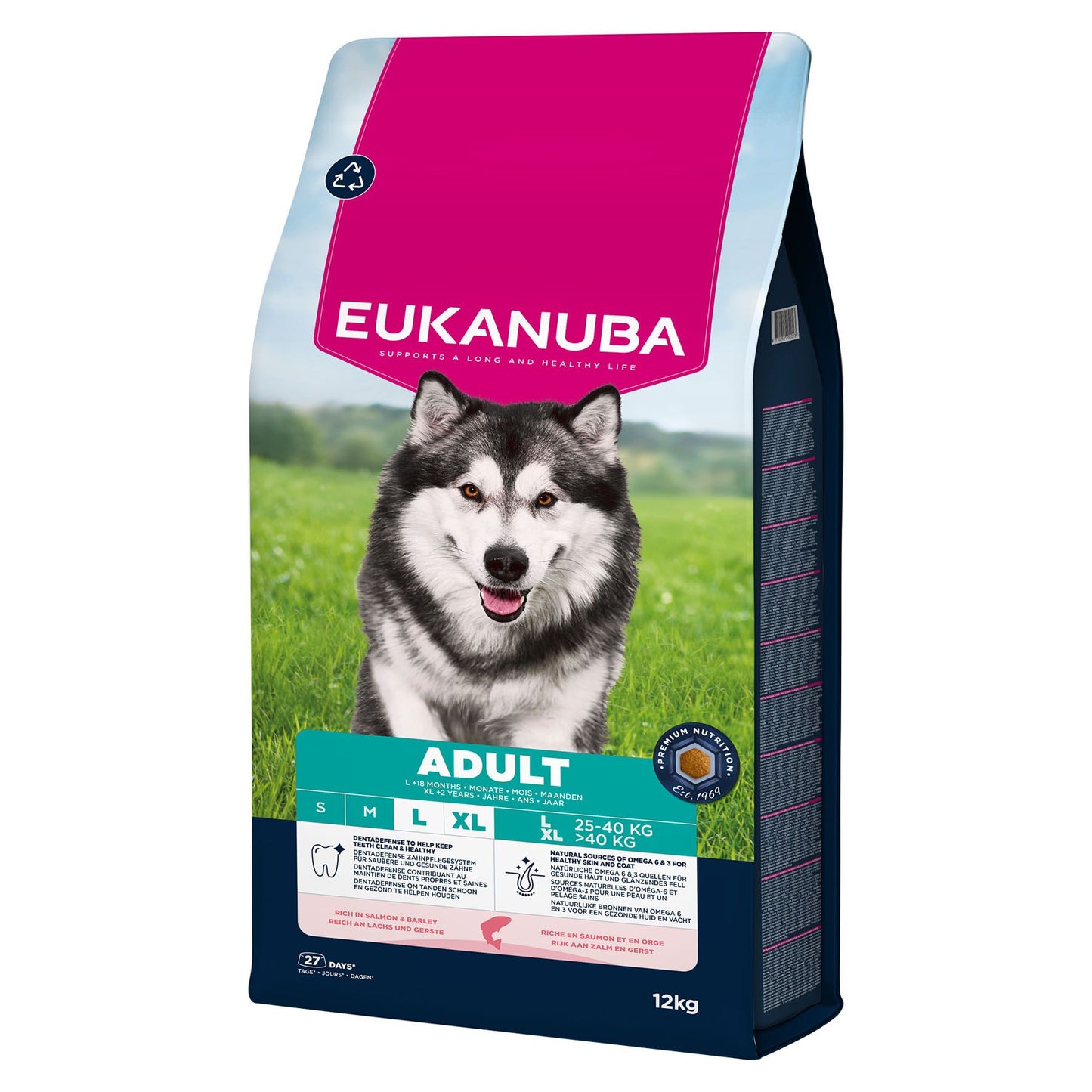 Eukanuba Adult Salmon Large & XL